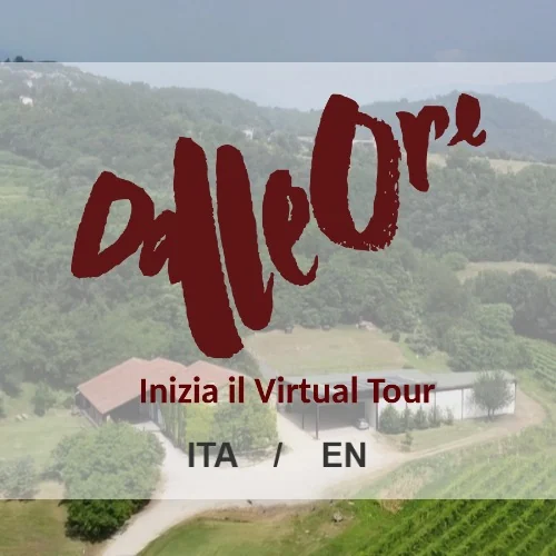 Virtual Tour 360° degli spazi Dalle Ore